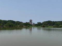 -大湾区中央湿地公园