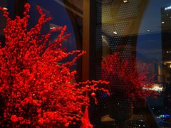 -深圳湾木棉花酒店