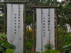 -莲花池公园