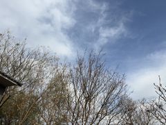 -北京凤凰岭