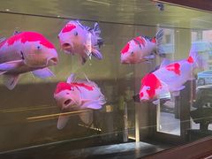 -160烧烤(香坊店)