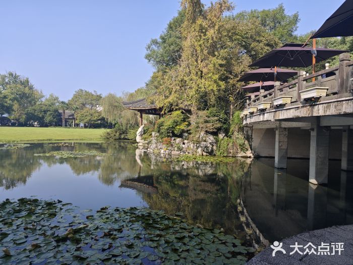 柳浪闻莺公园图片