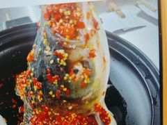-院里寻菜·精致庭院菜(观沙岭店)