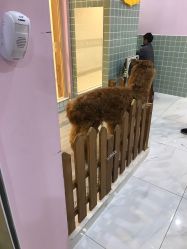-Moni星球萌宠·小马宝莉·灵蛇·高端高阶全萌宠互动体验俱乐部(红豆国际广场店)