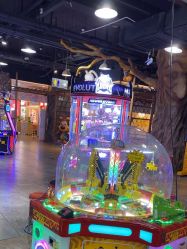 -卡通尼·Safari非洲探索乐园·生日会(金桥国际商业广场店)