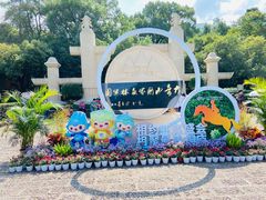 -大奇山国家森林公园