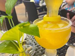 -bluefrog蓝蛙(皇庭广场店)