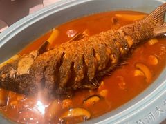红烧黄河鲤鱼-阿五黄河大鲤鱼(海尚店)