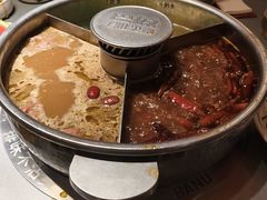 -巴奴毛肚火锅(二七万达店)