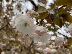 -龙湖星悦荟(颐和店)