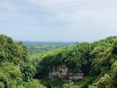 -川西竹海景区
