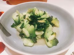 清炒奶白菜-松鹤楼·非遗·苏帮菜(融科店)