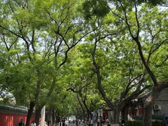 -北京国子监胡同