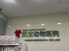 -悦宠凯宝动物医院·牙科·皮肤科(朝阳北路店)