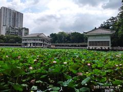 -荔湾湖公园