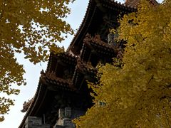 -四季民福烤鸭店(故宫店)