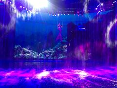 -芜湖新华联大白鲸海洋公园