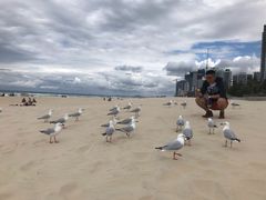 -黄金海岸