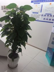 -至简医疗美容·医生集团