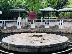 -成都市活水公园