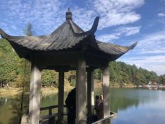 -四明山国家森林公园