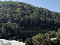 -孔雀湖生态旅游区