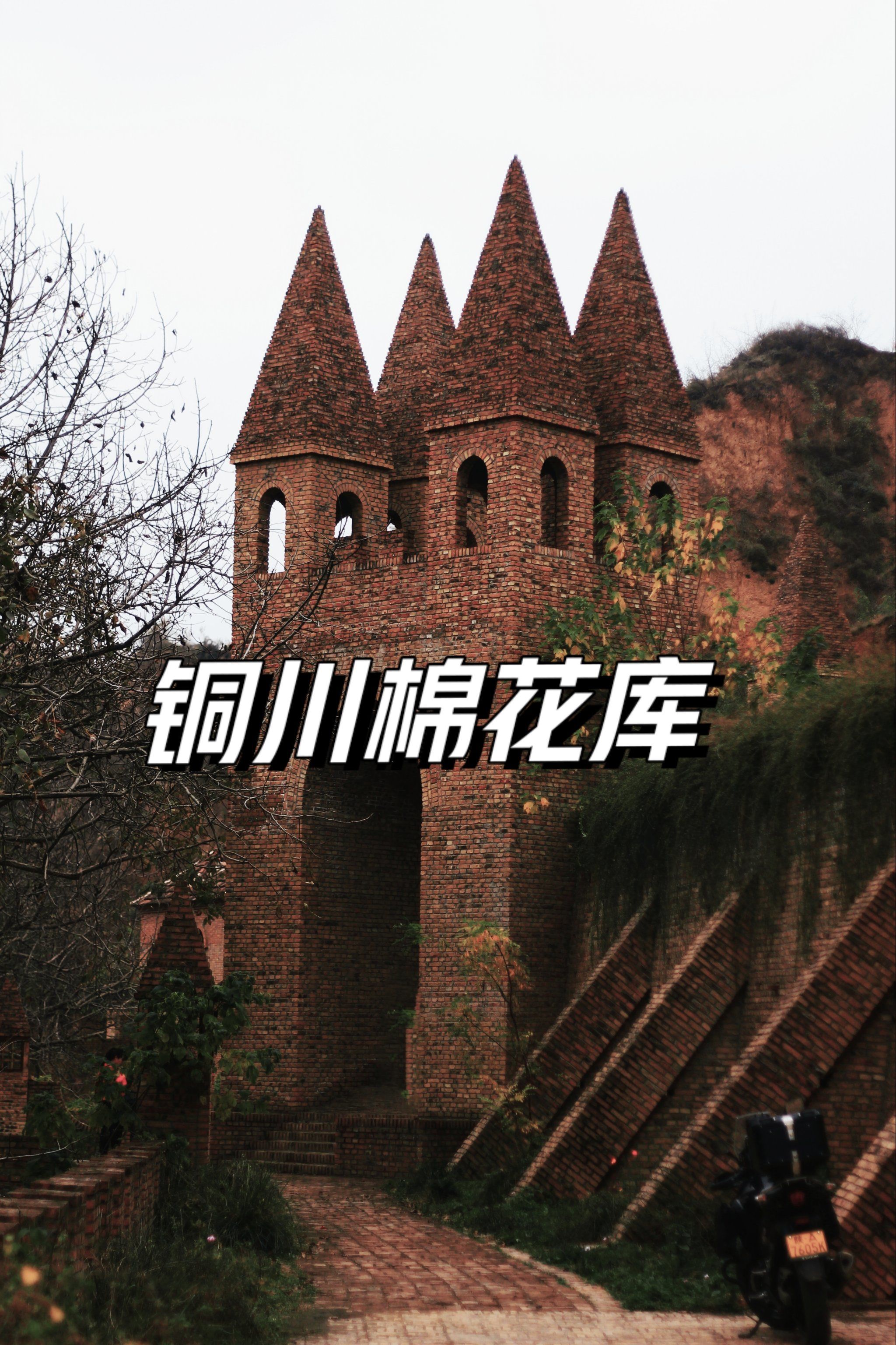 铜川棉花库一日游