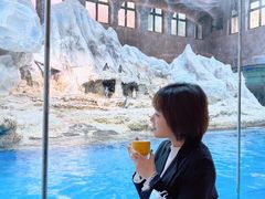 -帝企鹅自助餐厅•儿童岛•真企鹅(长隆企鹅酒店)