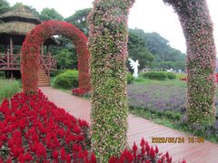 -广州市石门国家森林公园