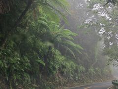 -海南热带雨林国家公园吊罗山景区