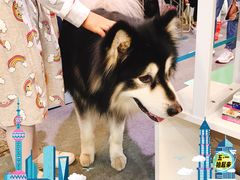-东浩兰生上海世博展览馆