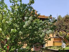-南京市江宁方山
