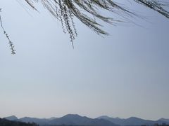 -柳莺湖上·湖景餐厅·江南菜(西湖店)