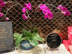 -皇朝会.经典传统粤菜(外滩店)