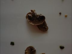 -火车头法国西餐厅