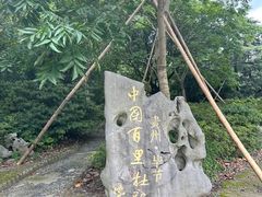 -上海滨江森林公园