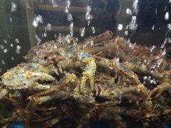 -蟹之国·精品蟹料理(极地店)