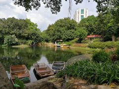 -晓港公园