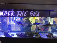 -凯德广场(学府店)