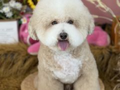 -喜洋洋宠物医院(震川路总店)