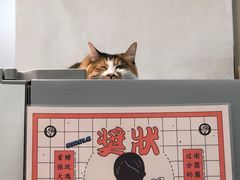 -玫瑰咖啡(中山六路店)