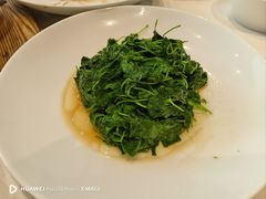 生煸草头-老正兴菜馆(福州路店)