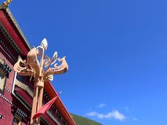 -塔公寺