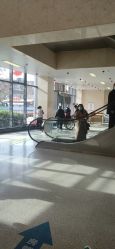 -河南中医药大学第一附属医院-医疗整形