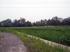 -桤木河湿地公园