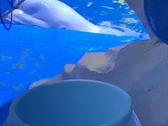 -海合安青岛极地海洋公园