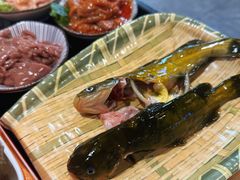 -铭记蛙小仙·活蛙畅享(CBD万达广场店)