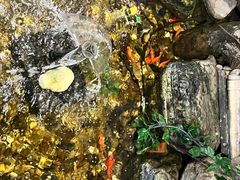 -清真·京华源铜锅涮肉(丰庆店)