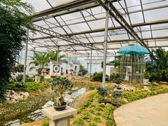 -石家庄市植物园