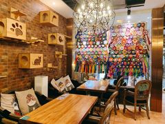 大堂-more than meow吴止猫主题餐厅(承德 中船汇店)